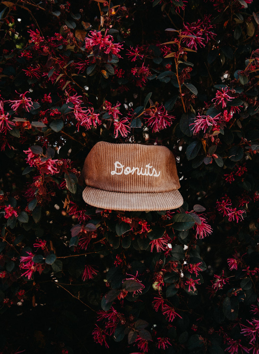 Donuts Chainstitch Hat